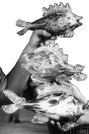 &copy;2007 Nazeing Glass - Glass Fish