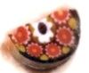 Vasart paperweight cane